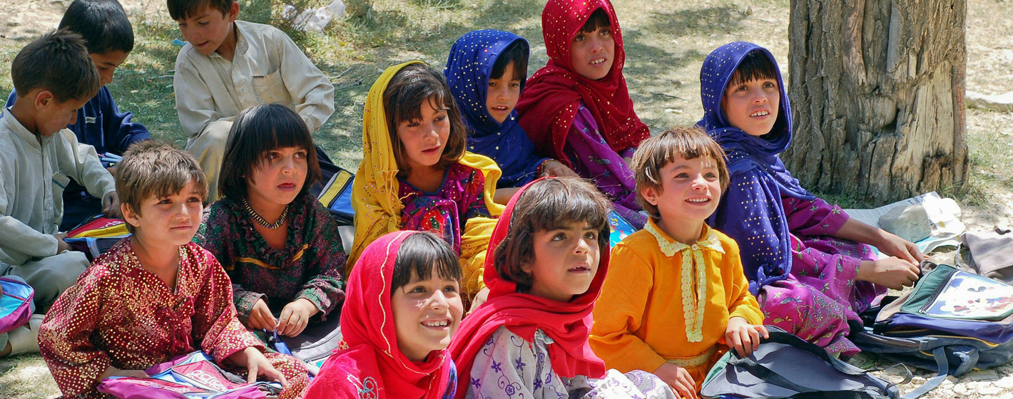 在哪买最划算的攻击网站在线工具